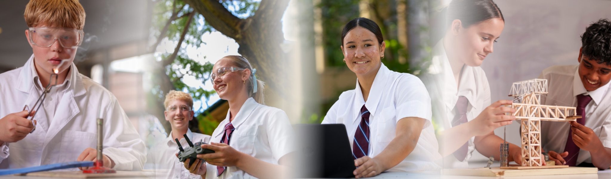 Academic Program of Excellence